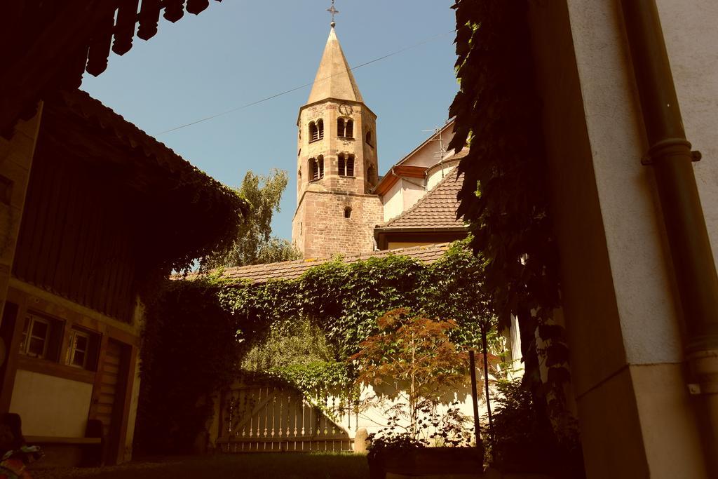 La Vieille Vigne Bed & Breakfast Gundolsheim Eksteriør billede