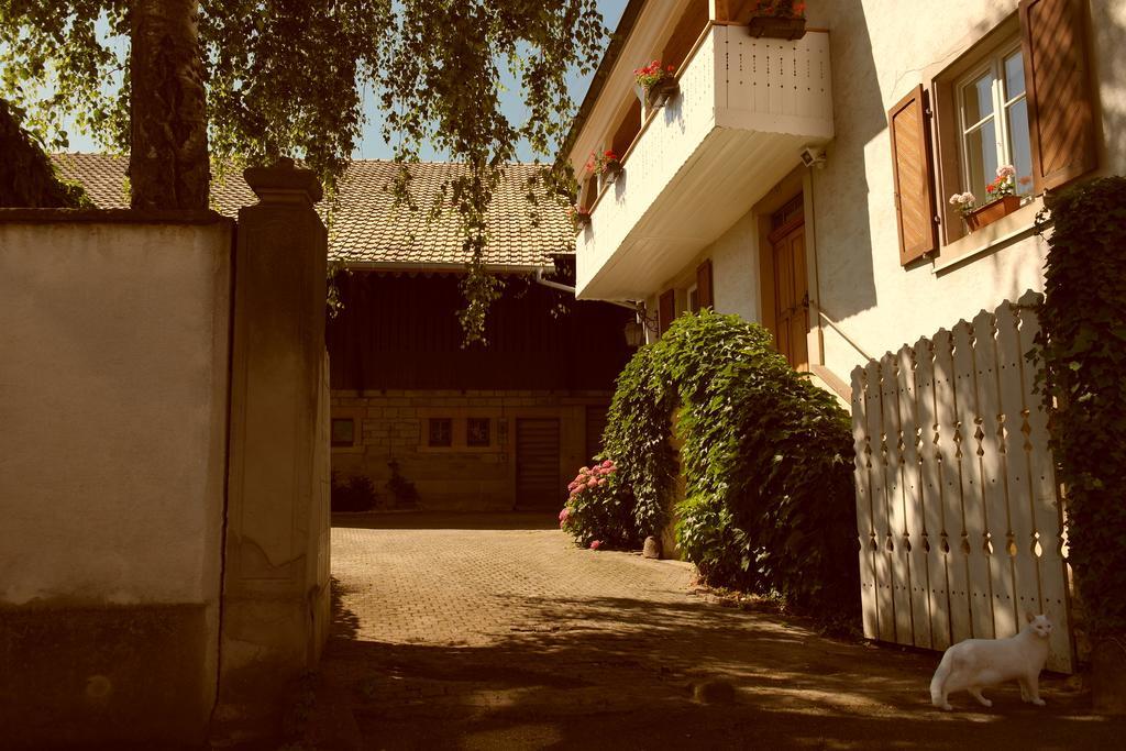 La Vieille Vigne Bed & Breakfast Gundolsheim Eksteriør billede